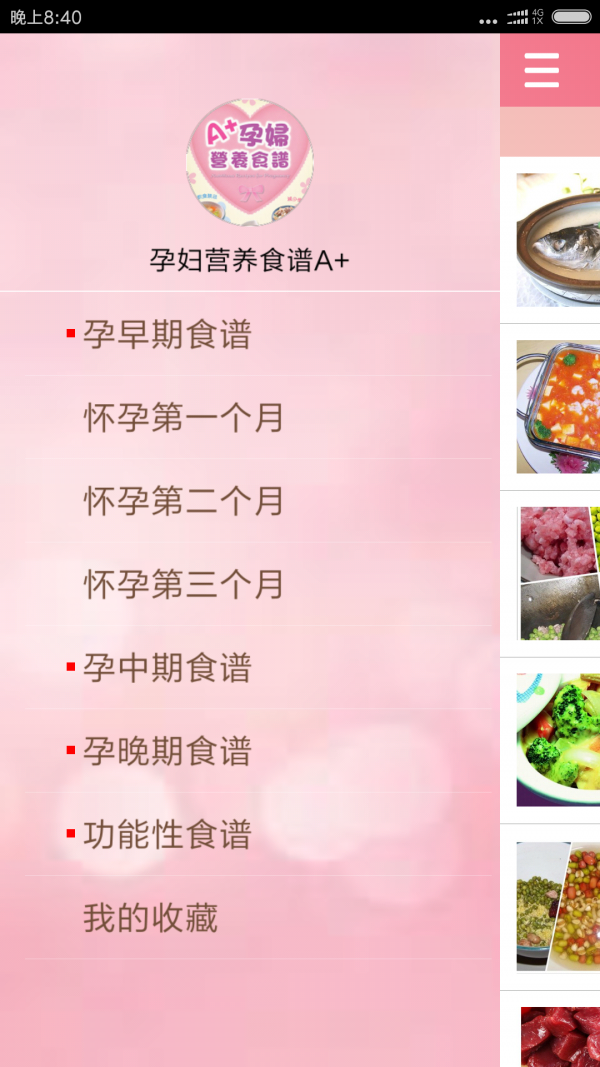 孕妇营养食谱A+手机版